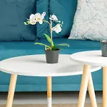 Nowoczesne Typu Z Parkingiem By Renters Apartment *