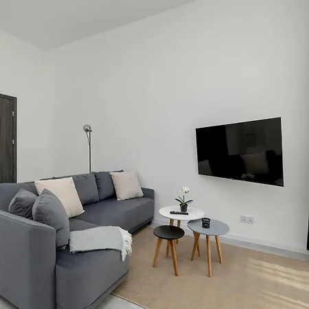 Nowoczesne Typu Z Parkingiem By Renters *