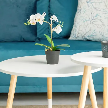 Nowoczesne Typu Z Parkingiem By Renters 아파트 *